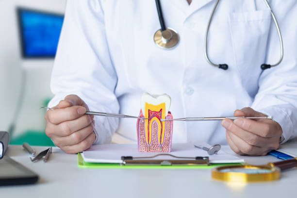 Best Emergency Dentist for Knocked-Out Tooth in Lafayette, OR